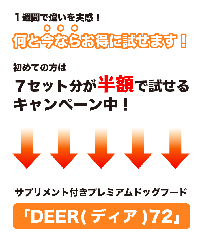 初めての方は７セット分が半額で試せるキャンペーン中！サプリメント付きプレミアムドッグフード「DEER(ディア)72」